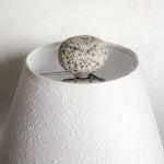 Coastal Cottage Lamp - Funky Rock Designs