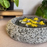 Stone Dish - Funky Rock Designs