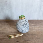 Stone Match Striker - Funky Rock Designs