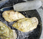 Stone Clam Shucker - Funky Rock Designs