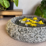 Stone Dish - Funky Rock Designs 
