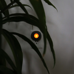 Nature's Nightlight - Funky Rock Designs 