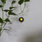 Nature's Nightlight - Funky Rock Designs 