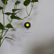 Nature's Nightlight - Funky Rock Designs 