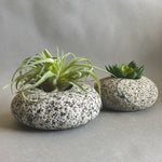 Stone Succulent Planter - Funky Rock Designs 