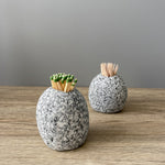 Stone Match Striker - Funky Rock Designs 