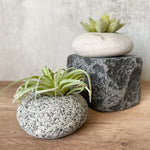Stone Succulent Planter - Funky Rock Designs 