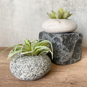Stone Succulent Planter - Funky Rock Designs 