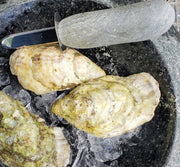 Stone Clam Shucker - Funky Rock Designs 