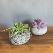 Stone Succulent Planter - Funky Rock Designs 